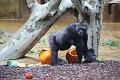 2015-10-22 06-08-51b